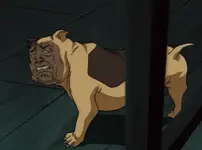 Pantallazo-perro.webp