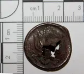 button front.webp