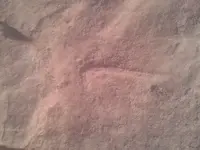 20150309_181250.webp