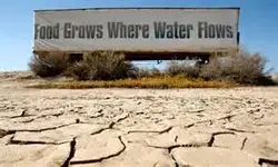 drought.webp