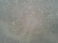 20150309_182905.webp 20150309_182905.webp
