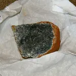 IMG_5373.webp IMG_5373.webp