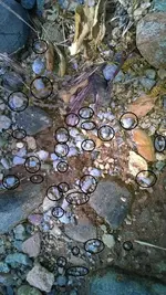WP_20150517_003.webp