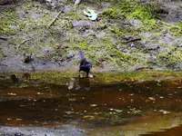 K1600_025.webp