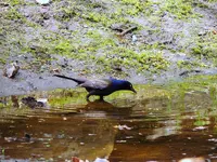 K1600_015.webp