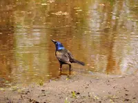 K1600_018.webp