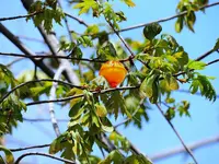 K1600_008.webp