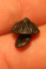 DOUBLET, NIPPLE, BLOWHOLES, OTHER EARLY TYPES  (3).webp