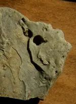 Indianpendant1.webp