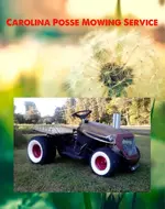 ImageUploadedByTreasureNet.com1429821588.307220.webp