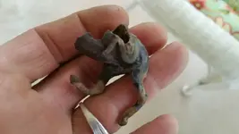 1431986713627.webp