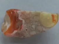 Agate-RedGrayEyeFort2015-Img_6210SSS.webp