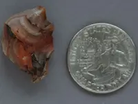 Agate-YardRedWhiteTar2015-Img_6214SSS.webp