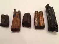 ImageUploadedByTreasureNet.com1428279676.783015.webp