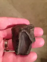 ImageUploadedByTreasureNet.com1428279889.346867.webp