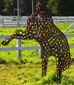 DSCN8605.webp