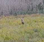 DSCN0459.webp