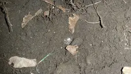 20150416_194651.webp