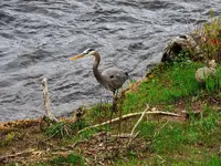 015.webp