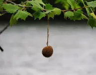 026.webp