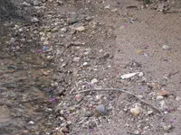 DSCF3461.webp