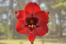 001a.webp