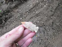 DSCF3463.webp