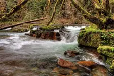 002222_22_3_tonemapped.webp