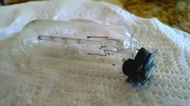mystery beach find.webp