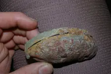 IMGP4581.webp