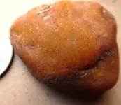 amber2.webp