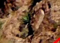 Rock_facecropA1.webp