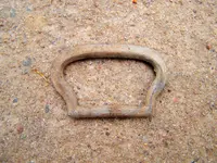 buckle 1.webp