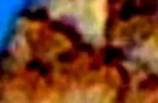 SuperstionMts1head3.webp