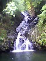 DSC_0000107.webp