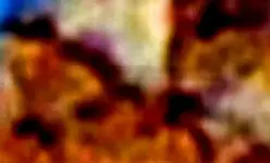 SuperstionMts1head3crop.webp