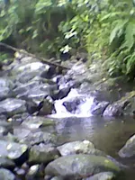 DSC_0000109.webp