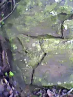 DSC_0000168.webp
