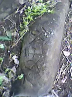 DSC_0000186.webp