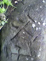 DSC_0000190.webp