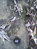 DSC_0000192.webp