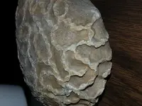 1429843033794.webp