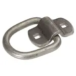 D-ring and Mount.webp