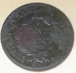 1817 LG back.webp