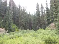2012-08-18 15.42.51.webp 2012-08-18 15.42.51.webp