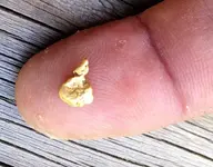 FirstNugget.webp