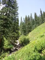 2012-08-19 12.16.04.webp 2012-08-19 12.16.04.webp