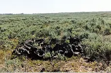 NP war camas001.webp