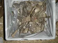 silverplate.webp