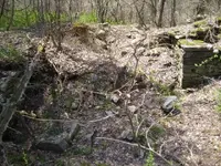 wed cellar 011.webp